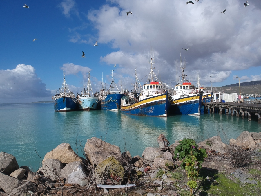 0 Bedroom Property for Sale in Steenbergs Cove Western Cape